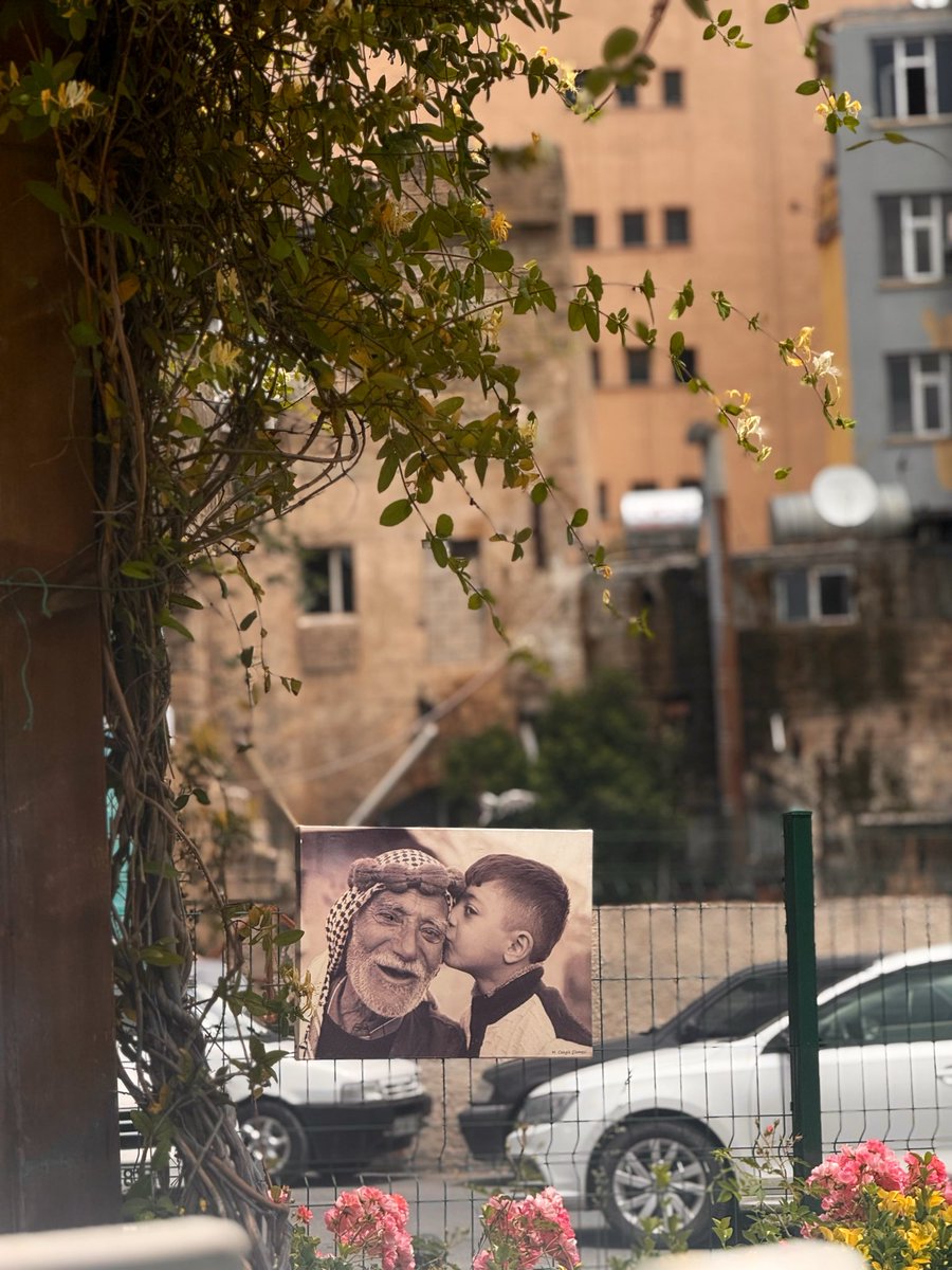 mryempolat's tweet photo. Hoşça bak zâtına kim zübde-i âlemsin sen. https://t.co/Gmbj42pBml
