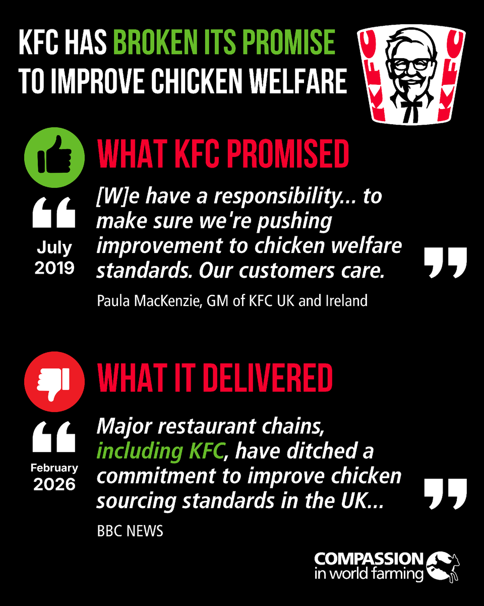 ciwf's tweet photo. ๐ @kfc has broken its promise to stop serving Frankenchickens.
The reality is that a fast-growing chicken does not have a life worth living. These sentient animals experience pain and suffering.
Tell KFC to #GoForSlow: https://t.co/9GfNo5QjUF https://t.co/bIOrqx4NrH