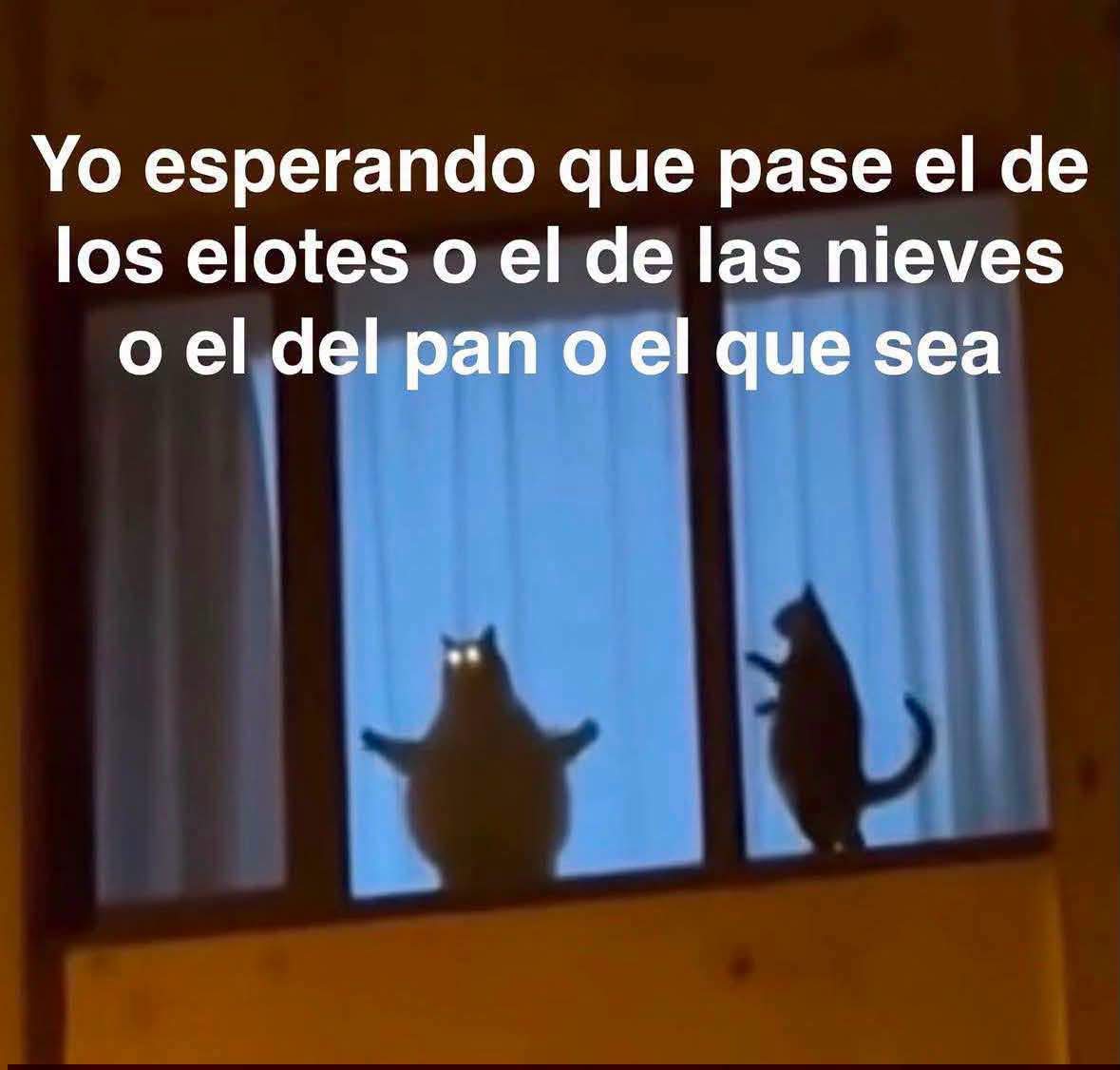 ojoscol0rsol's tweet photo. https://t.co/hdzmkQXwBm
