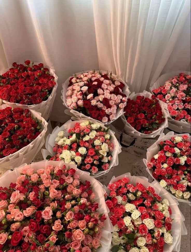 tutututututulip's tweet photo. https://t.co/XaSDRialph