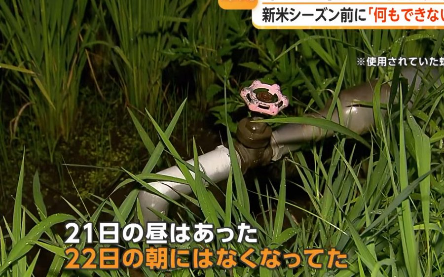 zundamotisuki's tweet photo. 茨城県で水田に水を張るために使う蛇口の窃盗が相次いでいる模様。

本当に酷いと思う人‼️

手をあげるのだ✋

🙋‍♂️< 犯人を捕まえて必ず賠償させてほしい https://t.co/IvjSkZVvcZ