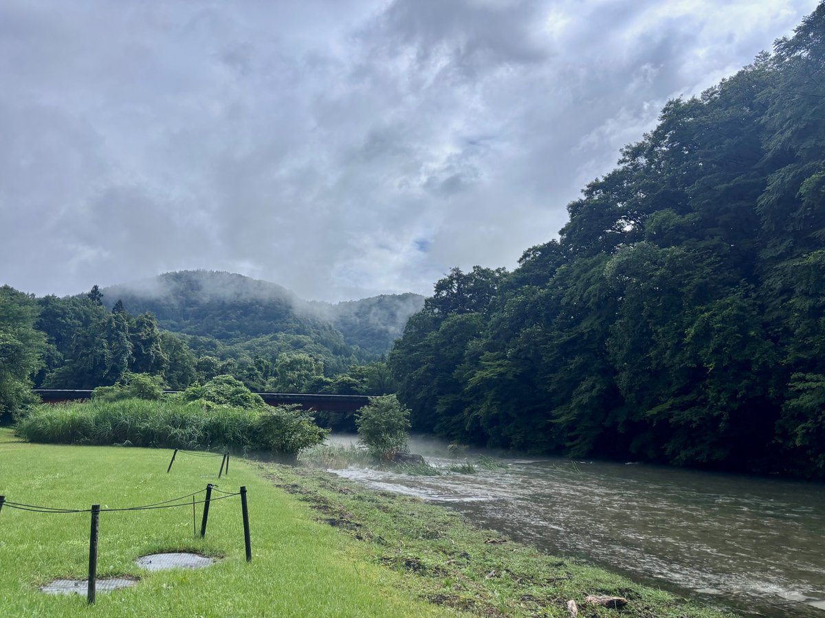 nikka_miyagikyo's tweet photo. 雨に包まれた宮城峡蒸溜所🌿

しずくをまとった木々の緑がいっそう鮮やかに映り、雨音と川のせせらぎが心地よく響きます。
豊かな自然に囲まれたこの場所ならではの景色と空気を感じながら、ゆっくりと過ごすひととき。
この風景もまた、宮城峡蒸溜所の魅力のひとつです🥃
https://t.co/Hc8e6TCAaC

#ニッカウヰスキー #ニッカ #宮城峡 #仙台 #蒸溜所 #蒸溜所見学 #ツアー