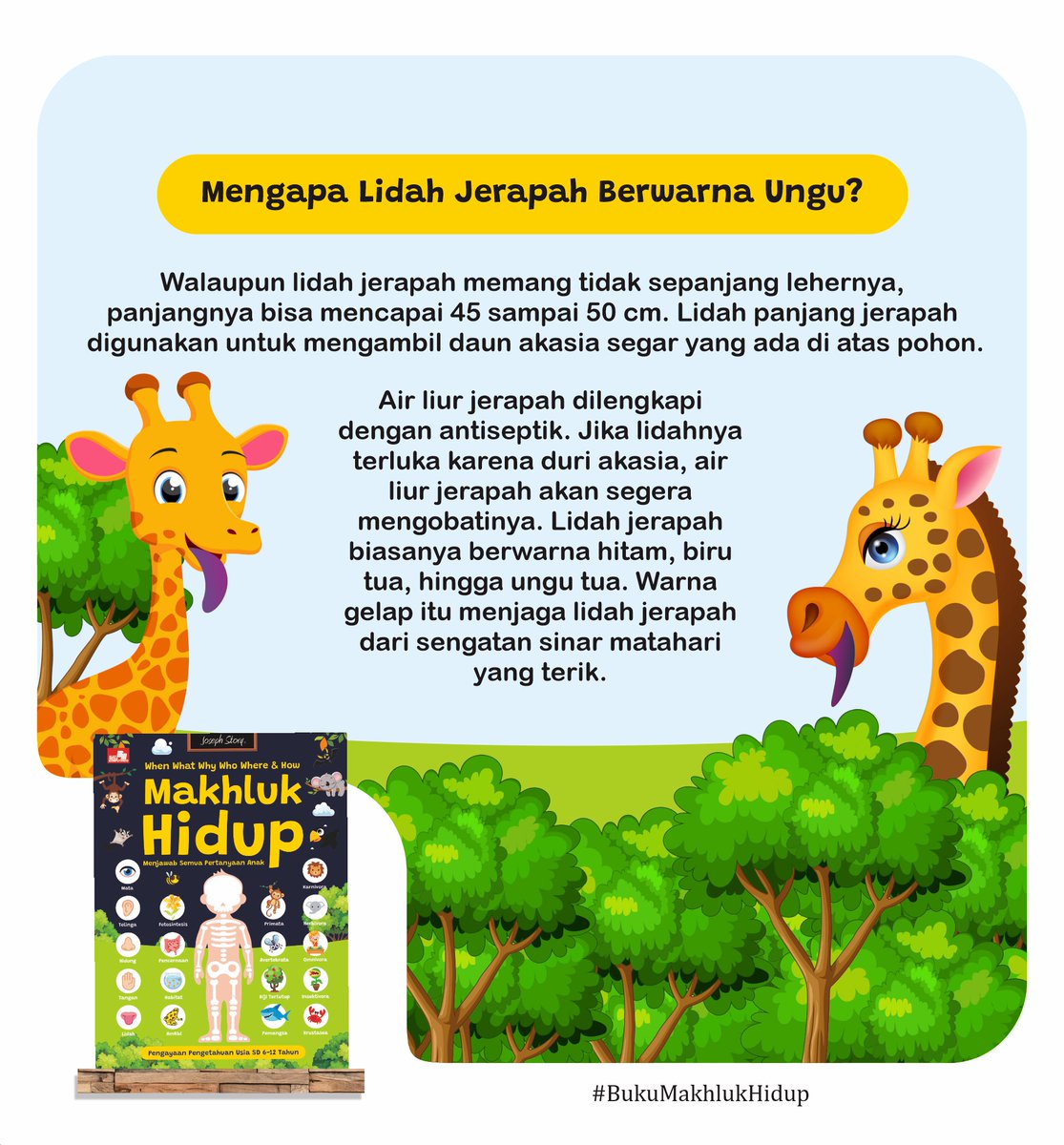 yusupsomadinata's tweet photo. Hayo, ada yang tahu kenapa lidah jerapah ungu?

Soalnya lidahnya punya zat pelindung melanin.
Zat ini gunanya kayak tabir surya alami biar lidahnya nggak "gosong" kebakar matahari kalo berjam-jam menjulurkan lidah menyantap daun pohon tinggi.

#BukuMakhlukHidup
by @elexmedia https://t.co/ivun2LYCwW