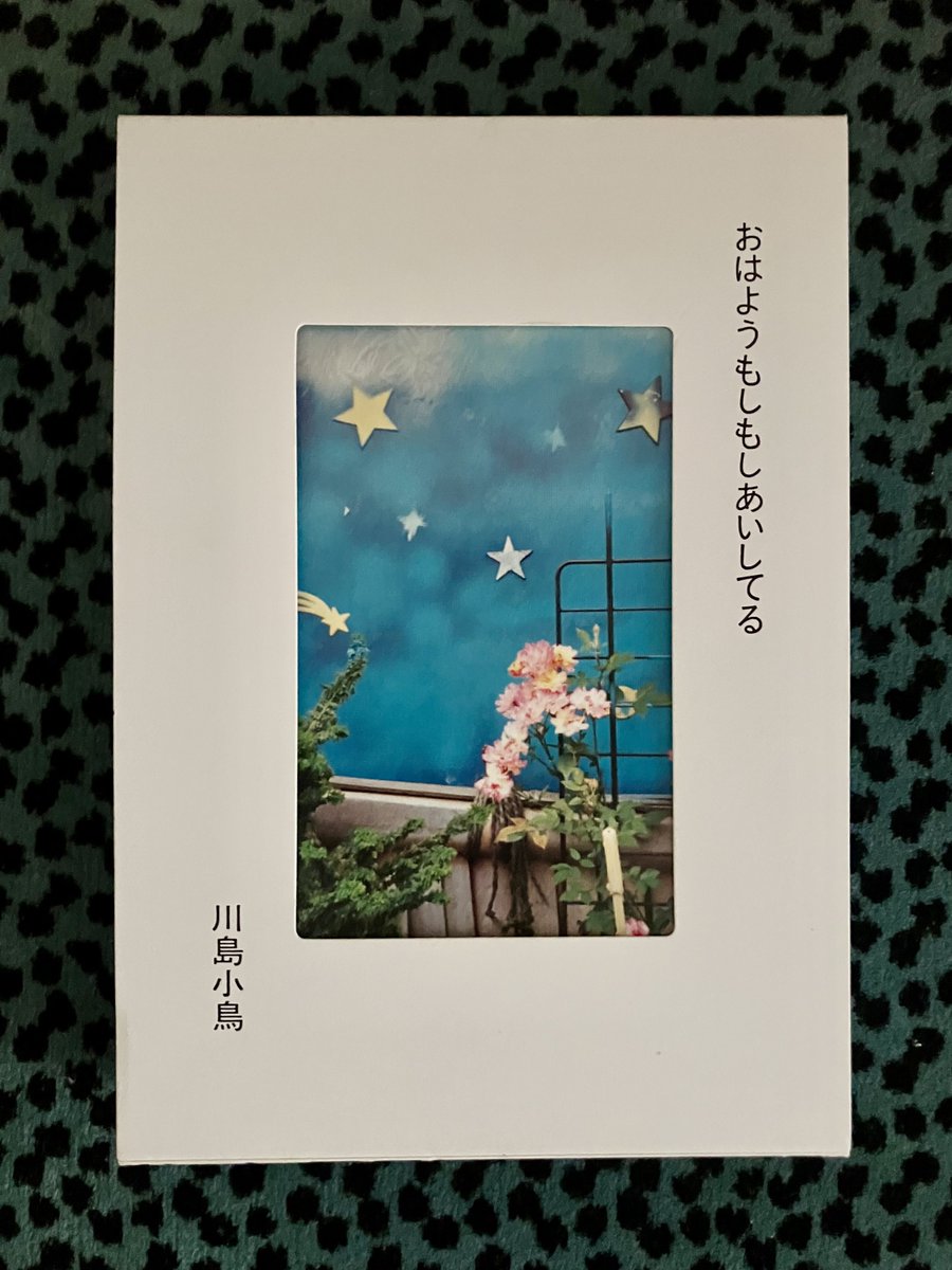 Salomery's tweet photo. 作る上でイメージしたのは川島小鳥さんの大好きな写真集『おはようもしもしあいしてる』でした。
今回まったく入れてい���いモノクロでもいつか作りたいし、ヴィヴィアン・マイヤーみたいな面白いセルフポトレ写真集も作ってみたい。いつか、いつか。 https://t.co/eLc8fpRMxR