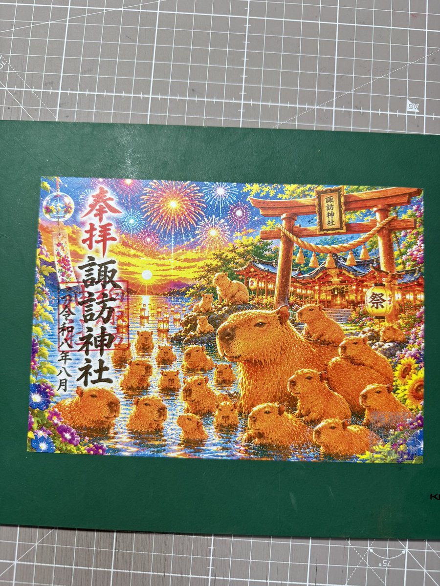 Kei's Bromeliads & 柏諏訪神社 tweet media