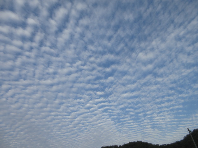 art_yume's tweet photo. 7/26の早朝に現れたさざ波雲。あまりに広範囲に広がってたから、もしや地震雲？と思って写真を撮って記録しておいたんだけど・・・令和8年熊本地震が二日後に起きようとは・・・ https://t.co/7h98qP7Ths