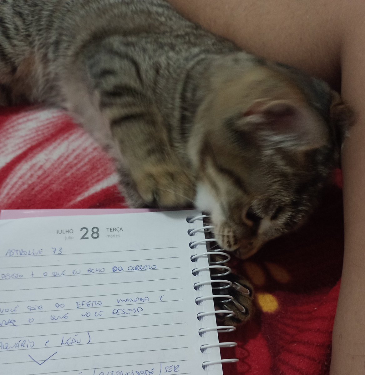 ellisenna_'s tweet photo. Neste momento...ela quer pegar minha caneta...mas gosto de anotar astrolive 73 https://t.co/40bCw1QfHi