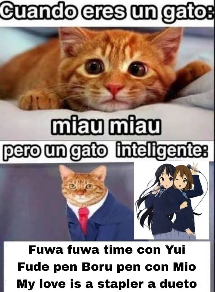 Si te sigo eres fan de Yui tweet media