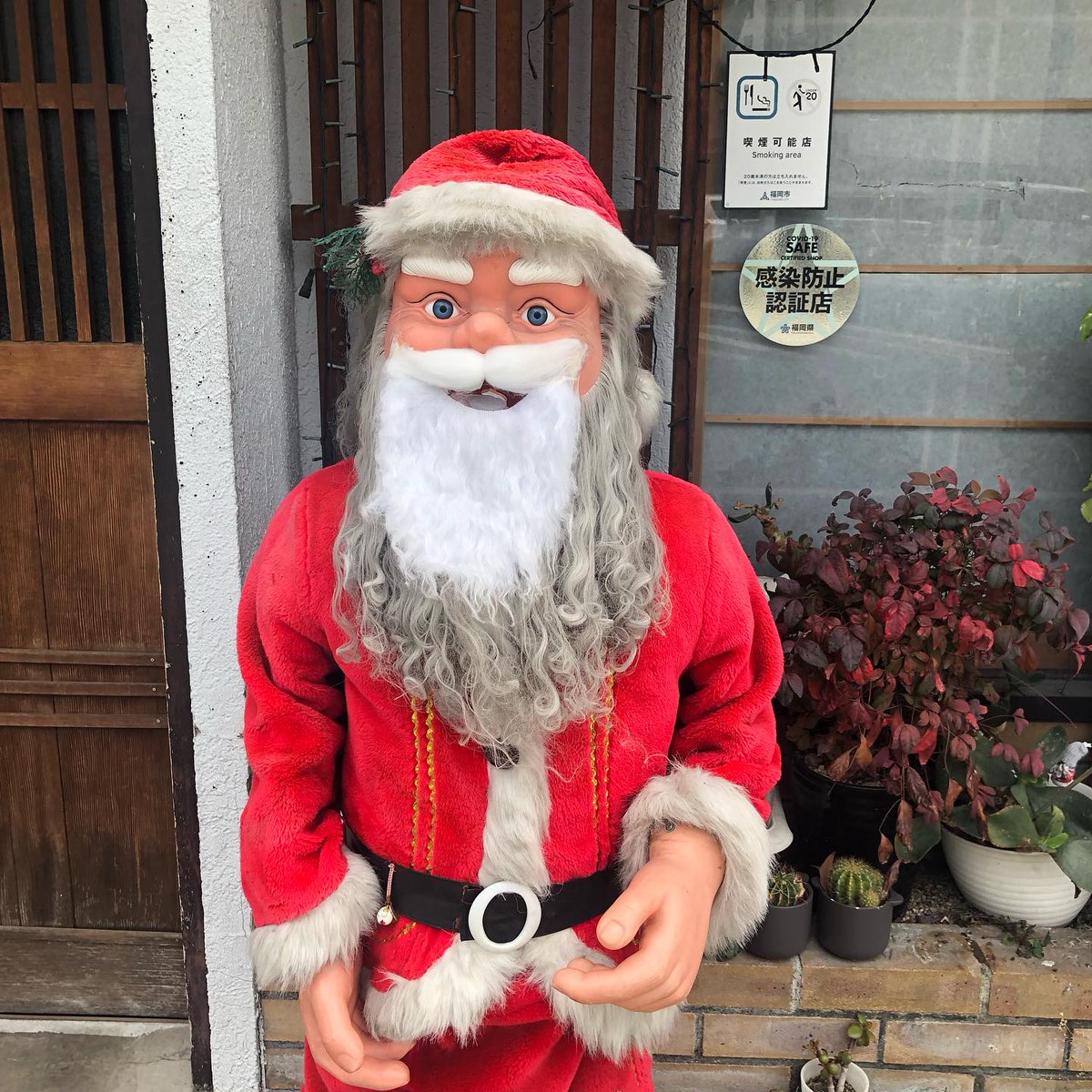 00_2043's tweet photo. 🪷

お花の季節で一番好きなぁ

#お花の咲く季節
#お花のサブスク https://t.co/fOFSC5DLZg