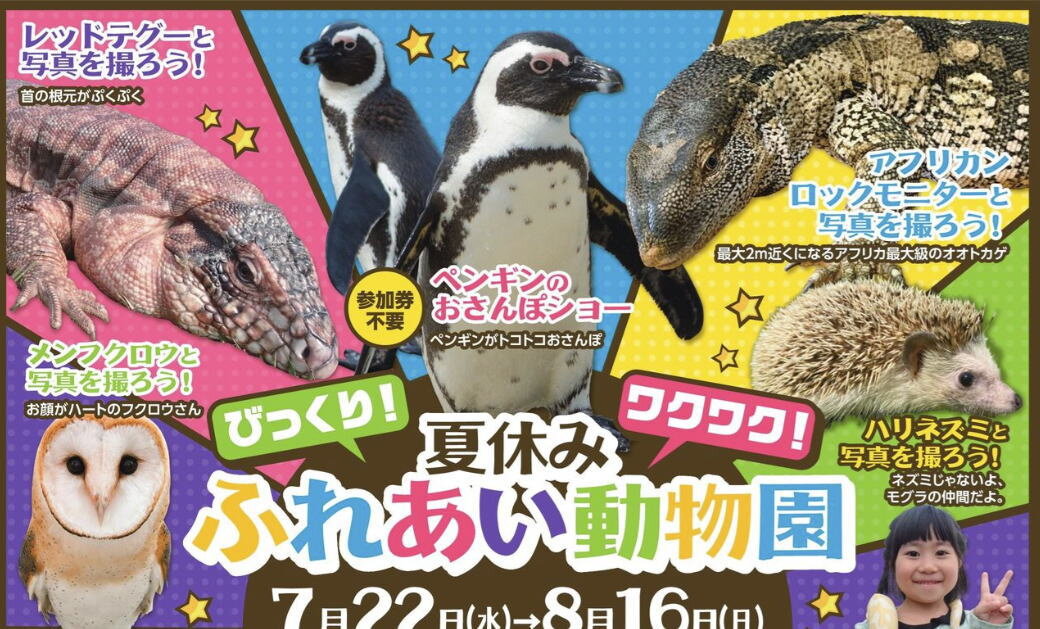 tabetainjya's tweet photo. 【福山天満屋】2026夏休みは屋内で動物ふれあい体験！ペンギンのおさんぽショーなど8月16日まで
https://t.co/zIPHYzcNiE https://t.co/LVH4vIYZ66