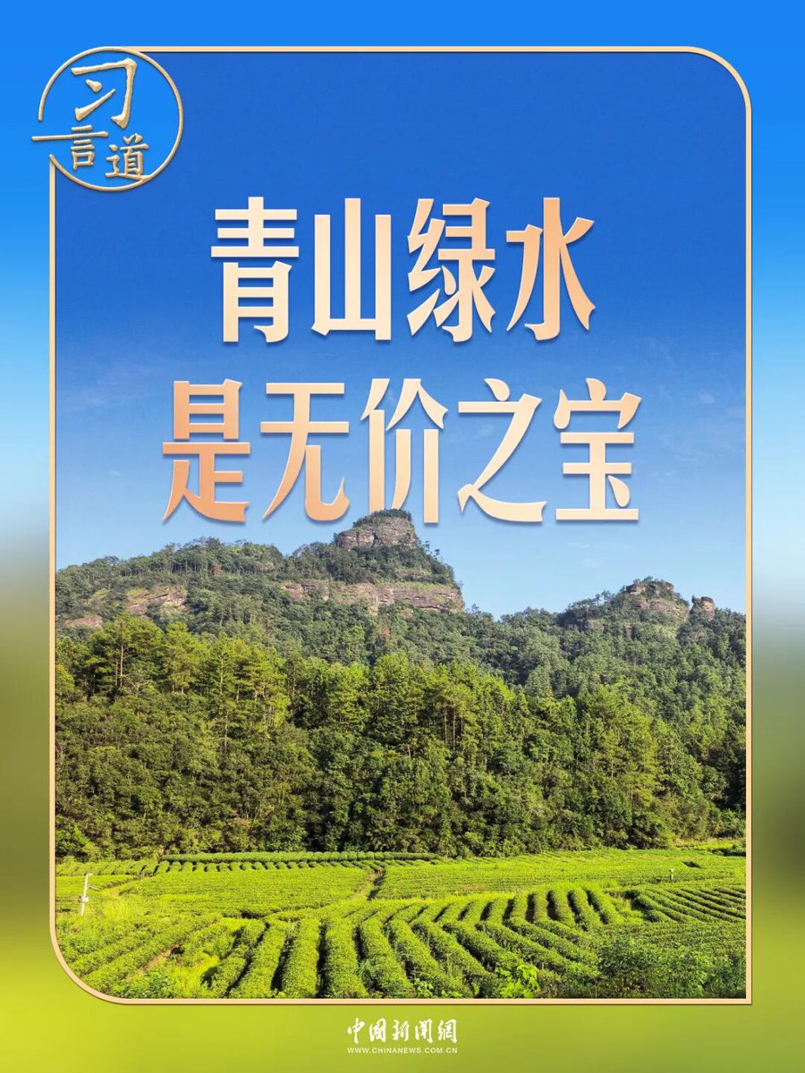 CNS1952's tweet photo. 【#習言道｜走進茶園，習近平強調做好這篇“大文章”】武夷山燕子峰腳下的山谷地帶，錯落有致的茶田，在青翠的山坡間層疊鋪展。

這裡是位於福建南平武夷山市星村鎮的燕子窠生態茶園。

2021年3月，習近平總書記來到這裡，察看春茶長勢，了解當地茶產業發展情況，強調“要統籌做好茶文化、茶產業、茶科技這篇大文章”“堅持綠色發展方向”……

小小一片茶葉，承載着總書記對推進綠色發展、鄉村振興的殷殷期望。https://t.co/HFxnYnYruV