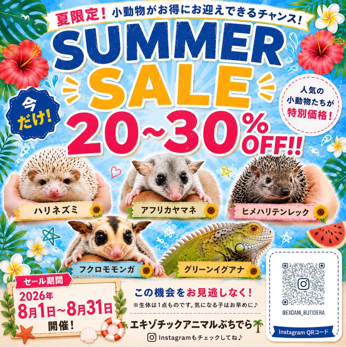 エキゾチックアニマル ぶちでら🦔 on X: 