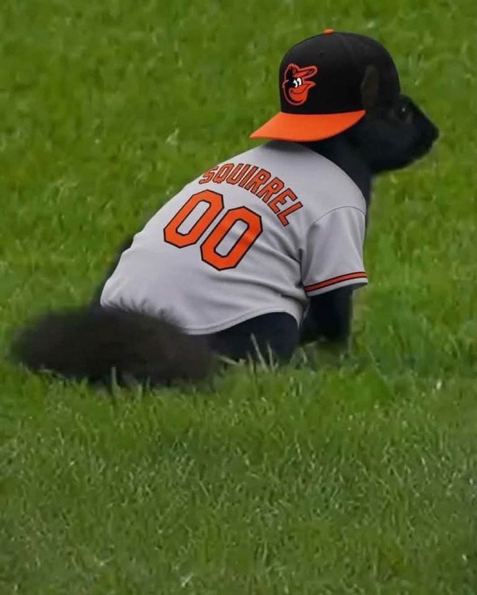 BozzMeme's tweet photo. @TalkinBaseball_ solana:H3GtwGSrYRVqp7dtjkaDfjE2inydLkHwFkFJSPzrpump that’s my guy right there https://t.co/dpyDcGUla5