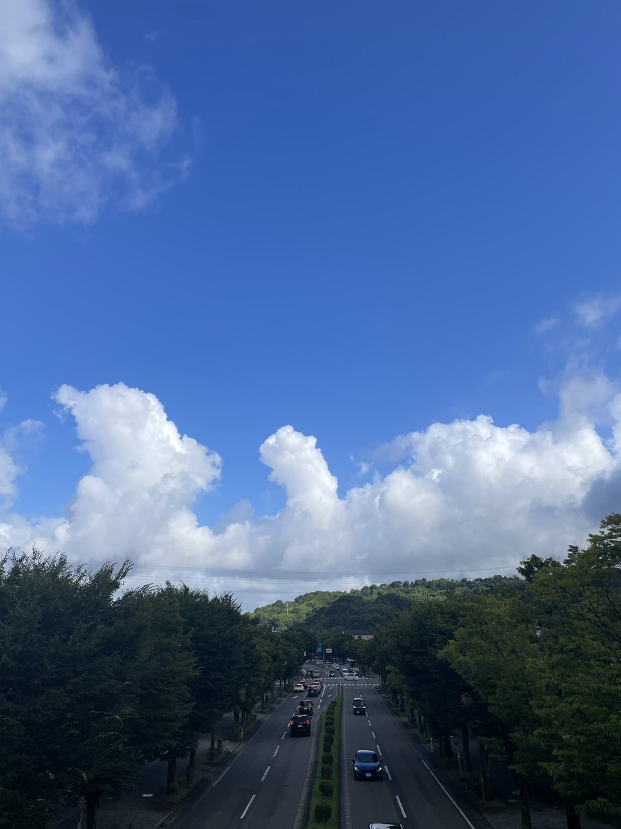 asdn4231's tweet photo. 7/29 朝の空もよう https://t.co/rPZ0ZOzUeU