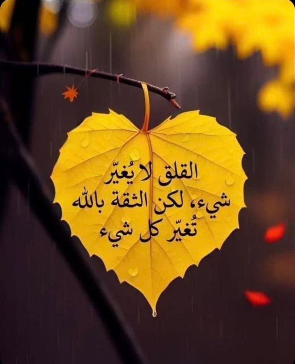 ReemasAlbdryeh's tweet photo. _*🌾 صباح السعادة لكل قلب جميل يرى في البساطة جمالًا وفي الرضا نعمة🌸*_

*_صباح الخير_*🕊️🪻

#صباح_الخير 
#صباحيات https://t.co/9JkaATjlUk