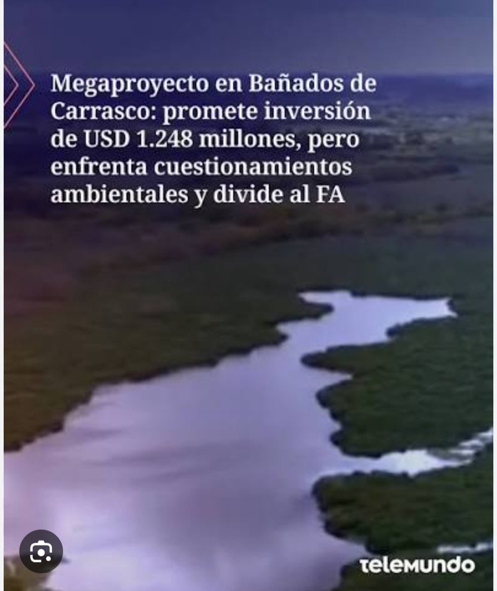 MariaFe14155631's tweet photo. Ortuño.... sacaste a los bañados de Carrasco de la lista de áreas protegidas .... Cuál  es el interés que acompaña tus decisiones?!.
Profesor de Historia  (dicen), no te expreso lo que pienso porque no tengo fueros. Pero, cómo me gustaría decirte un par de cositas!!!
El Bañado de Carrasco es un valioso sistema de humedales y un pulmón verde de unas 1.100 a 1.300 hectáreas, ubicado entre los departamentos de Montevideo y Canelones en Uruguay. Funciona como un regulador natural del agua y del clima, y es hogar de una gran variedad de plantas y animales.
Se extiende en el noreste de Montevideo (Municipio F) y parte de Canelones, formando parte de la cuenca del Arroyo Carrasco. 
 El proyecto en los Bañados de Carrasco, es una iniciativa privada para urbanizar 228 hectáreas en Montevideo, inspirada en el modelo de Nordelta, que propone construir unas 3.000 viviendas, un parque lineal de 3 km y áreas comerciales. El plan genera un fuerte debate político y social debido a posibles impactos en este humedal clave.
Te harás  una casita en los bañados desecados "ministro de ambiente"?!