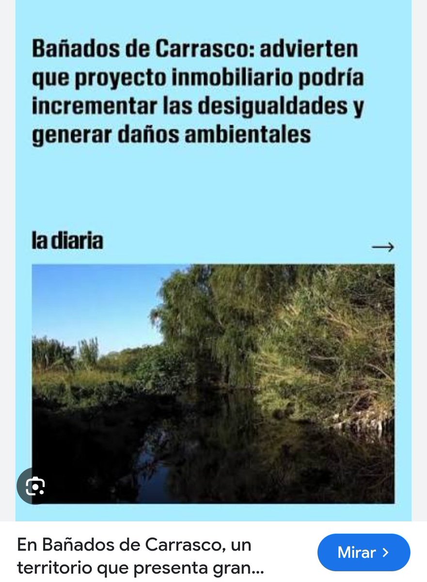 MariaFe14155631's tweet photo. Ortuño.... sacaste a los bañados de Carrasco de la lista de áreas protegidas .... Cuál  es el interés que acompaña tus decisiones?!.
Profesor de Historia  (dicen), no te expreso lo que pienso porque no tengo fueros. Pero, cómo me gustaría decirte un par de cositas!!!
El Bañado de Carrasco es un valioso sistema de humedales y un pulmón verde de unas 1.100 a 1.300 hectáreas, ubicado entre los departamentos de Montevideo y Canelones en Uruguay. Funciona como un regulador natural del agua y del clima, y es hogar de una gran variedad de plantas y animales.
Se extiende en el noreste de Montevideo (Municipio F) y parte de Canelones, formando parte de la cuenca del Arroyo Carrasco. 
 El proyecto en los Bañados de Carrasco, es una iniciativa privada para urbanizar 228 hectáreas en Montevideo, inspirada en el modelo de Nordelta, que propone construir unas 3.000 viviendas, un parque lineal de 3 km y áreas comerciales. El plan genera un fuerte debate político y social debido a posibles impactos en este humedal clave.
Te harás  una casita en los bañados desecados "ministro de ambiente"?!