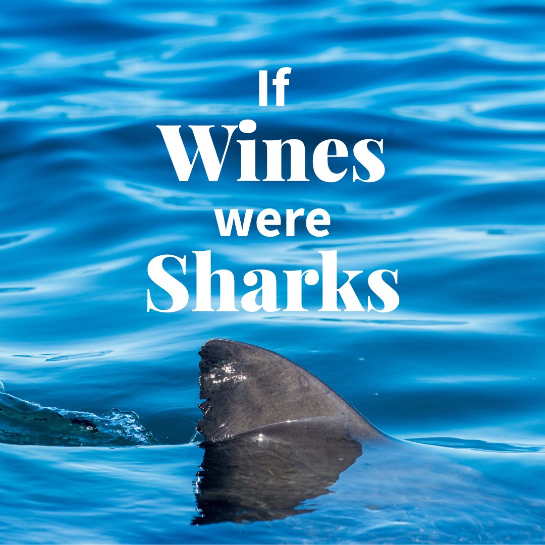 TotalWine's tweet photo. In honor of 🦈 week, we reimagined some wines into sharks.

How do you feel about our analysis?

Pt. 3 https://t.co/R1I8xMFzqW