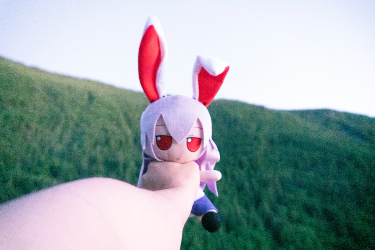 udongear's tweet photo. took bnuuy outside today https://t.co/VTY6BbjXb3