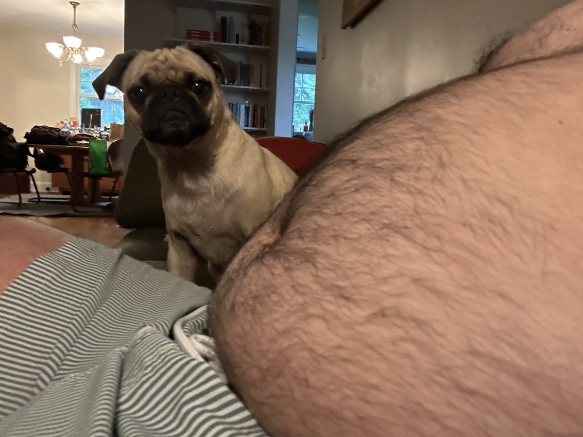 niimbassaCORE's tweet photo. 🐶 https://t.co/yhFvHNgRGE