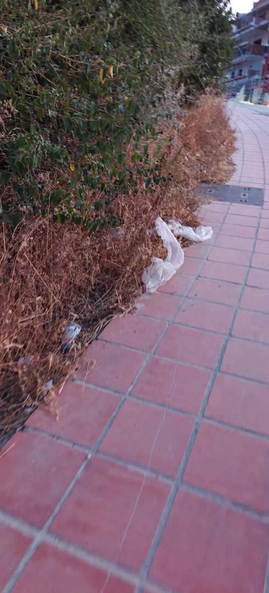ajmarinberjas's tweet photo. 1/3 🚨 ¡𝗦𝗘 𝗔𝗠𝗢𝗡𝗧𝗢𝗡𝗔𝗡 𝗟𝗔𝗦 𝗤𝗨𝗘𝗝𝗔𝗦 𝗘𝗡 𝗘𝗟 𝗔𝗬𝗨𝗡𝗧𝗔𝗠𝗜𝗘𝗡𝗧𝗢 𝗗𝗘 𝗠𝗔𝗡𝗜𝗟𝗩𝗔!🚨

Vecinos de la Urb. Blue Sunset denuncian el grave deterioro de la vía pública y la preocupante falta de limpieza en todo el entorno de La Duquesa. Ya no pueden más. 👇 https://t.co/hb82bYaBti