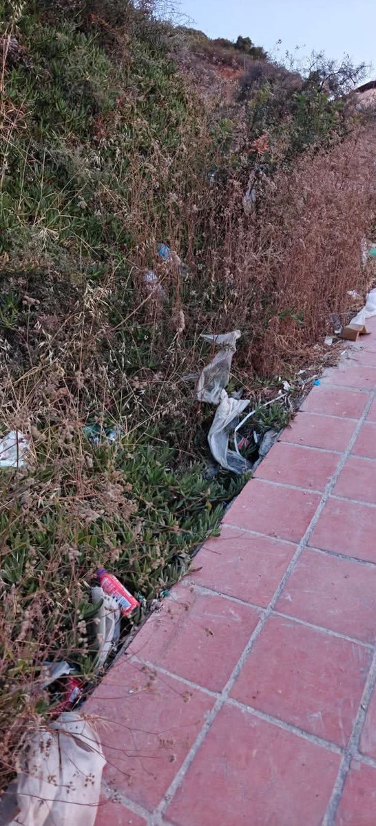 ajmarinberjas's tweet photo. 2/3 🧹 El abandono es tal que los propios vecinos tuvieron que organizarse de forma voluntaria para limpiar los bordes de la carretera y los accesos peatonales el pasado sábado.¡Los vecinos pagan sus impuestos y merecen servicios de calidad, no trabajar gratis!. https://t.co/1mGdsNOfQk