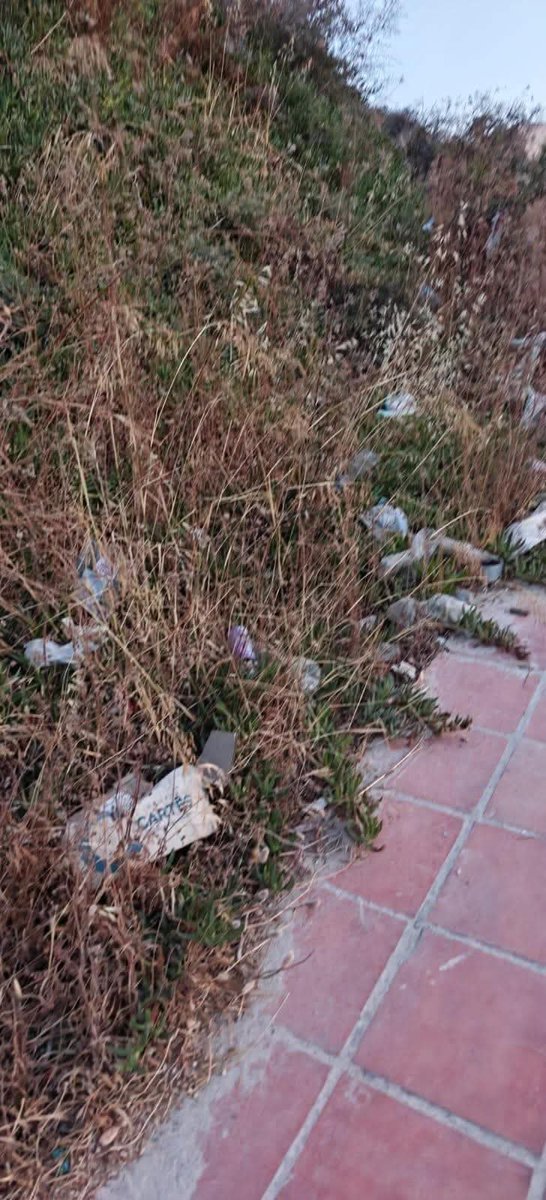 ajmarinberjas's tweet photo. 3/3 🏛️ Toda esta situación ya ha sido trasladada formalmente sin obtener respuesta. Desde el Grupo Municipal de VOX exigimos:

1️⃣ Solución inmediata a las quejas.

2️⃣ Un protocolo eficaz de respuesta al ciudadano.

#Manilva #LaDuquesa #DenunciaCiudadana https://t.co/23GgPQ6by9