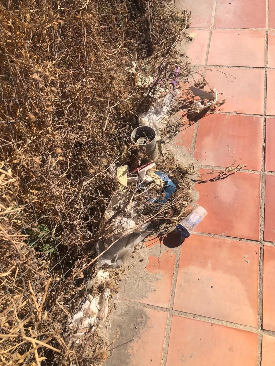 ajmarinberjas's tweet photo. 3/3 🏛️ Toda esta situación ya ha sido trasladada formalmente sin obtener respuesta. Desde el Grupo Municipal de VOX exigimos:

1️⃣ Solución inmediata a las quejas.

2️⃣ Un protocolo eficaz de respuesta al ciudadano.

#Manilva #LaDuquesa #DenunciaCiudadana https://t.co/23GgPQ6by9