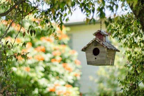 FXLarbyRealtor's tweet photo. Who hasn’t thrilled to the sight of soaring eagles overhead, or delighted in spotting speckled eggs in a nest on one’s shade tree? According to Yelp’s July 2026 lifestyle trend tracker, birdwatching has nearly doubled (94%) in inter https://t.co/hdfA1TBQso https://t.co/XDZoDJXyti