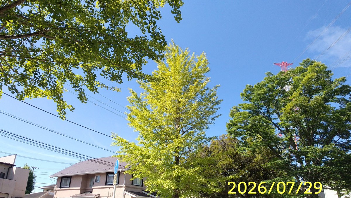 DepthOfField211's tweet photo. 地震お見舞い申し上げます https://t.co/pUNfU7WU7d