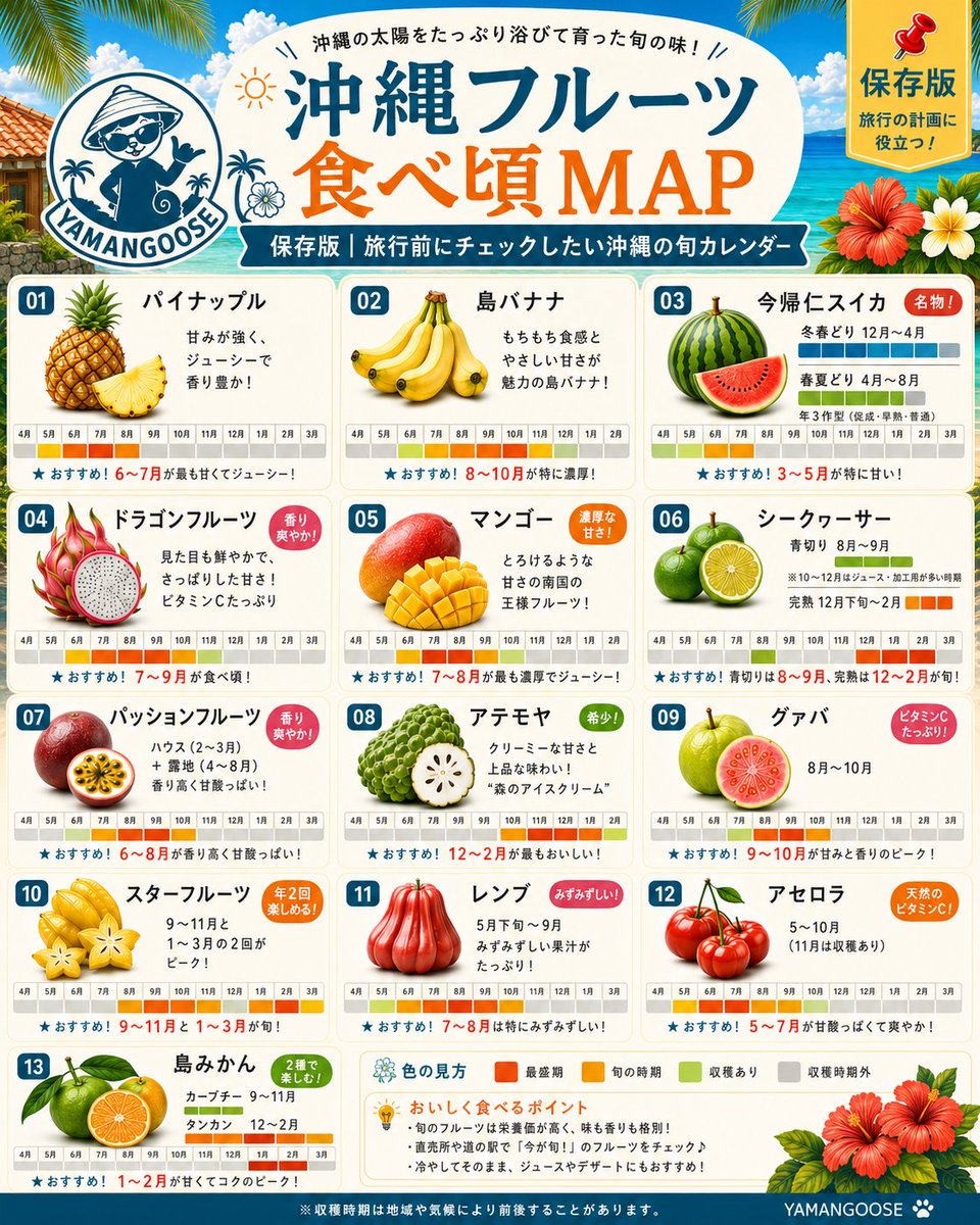 skuroshimaalgl's tweet photo. 沖縄のフルーツ、実は「夏だけ」ではありません🍍🥭

今帰仁スイカは冬春から夏まで、シークヮーサーは青切りと完熟、スターフルーツも年2回の旬があります。

旅行前や直売所めぐりで見返せるように、
「沖縄フルーツ食べ頃MAP」をまとめました📌

その時期だからこそ味わえる沖縄の旬。
皆さんは、どのフルーツを食べてみたいですか？

※収穫時期は地域・品種・天候により前後します。
#沖縄 #沖縄旅 #沖縄グルメ #沖縄フルーツ