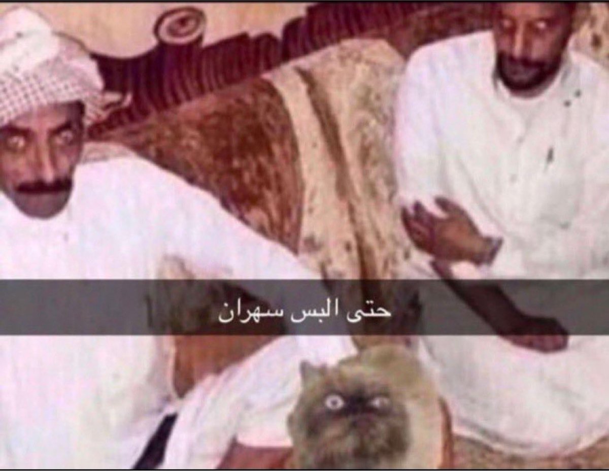 Lii4L1's tweet photo. حلو ونتابع البث حقه كذا يعني https://t.co/3WYwRAstE4