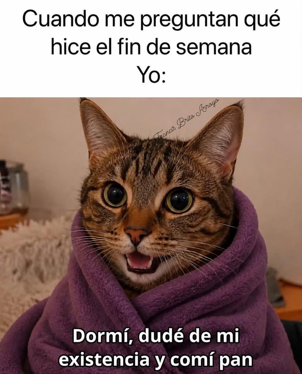 JoseRamirez1585's tweet photo. https://t.co/X0dSX1GkmO