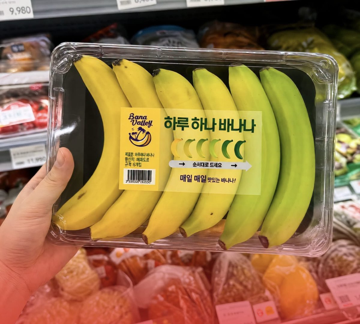Puppieslover's tweet photo. South Korea has banana packs where each banana ripens on a different day so they don't all go bad at the exact same time. https://t.co/fsD2ip672O