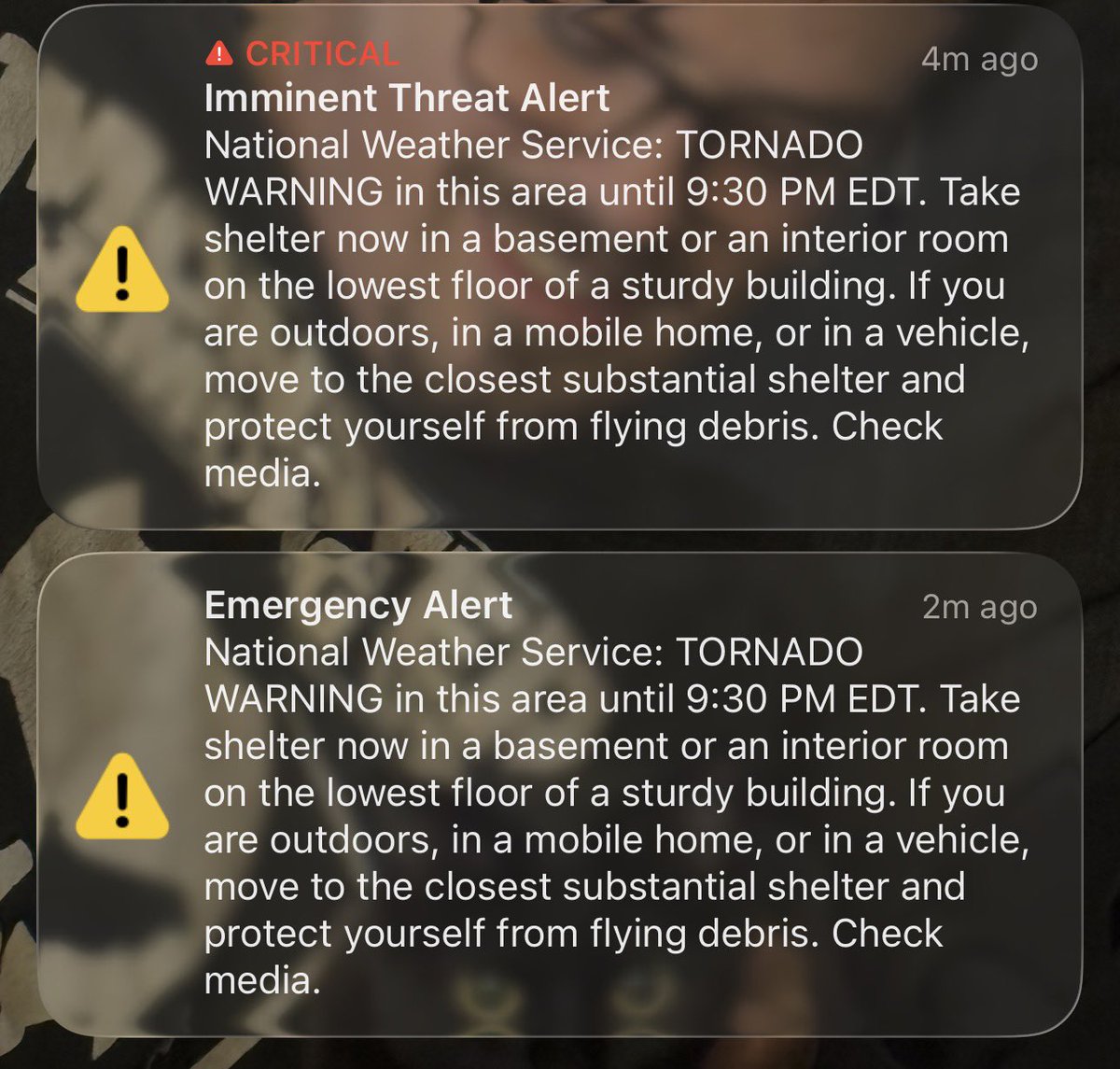 vibrantpanic tweet picture
