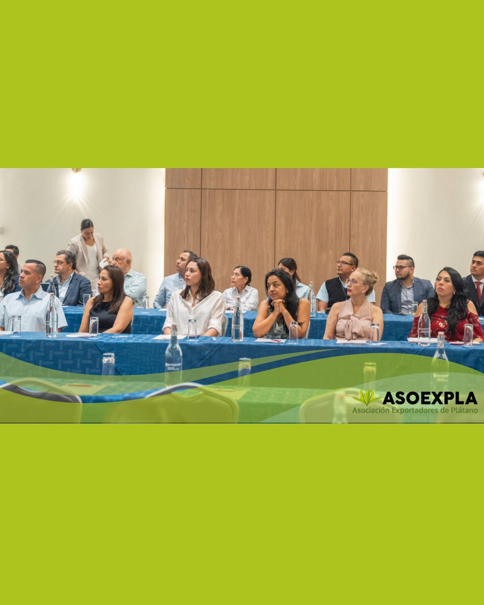 asoexpla's tweet photo. En ASOEXPLA impulsamos la actualización de nuestros asociados. Participamos en el conversatorio “Del IRU Bananero y platanero a Régimen General”, fortaleciendo el conocimiento frente a los desafíos del sector platanero. 🍃 #ASOEXPLA #IRUBananero https://t.co/tsRuBLDr72