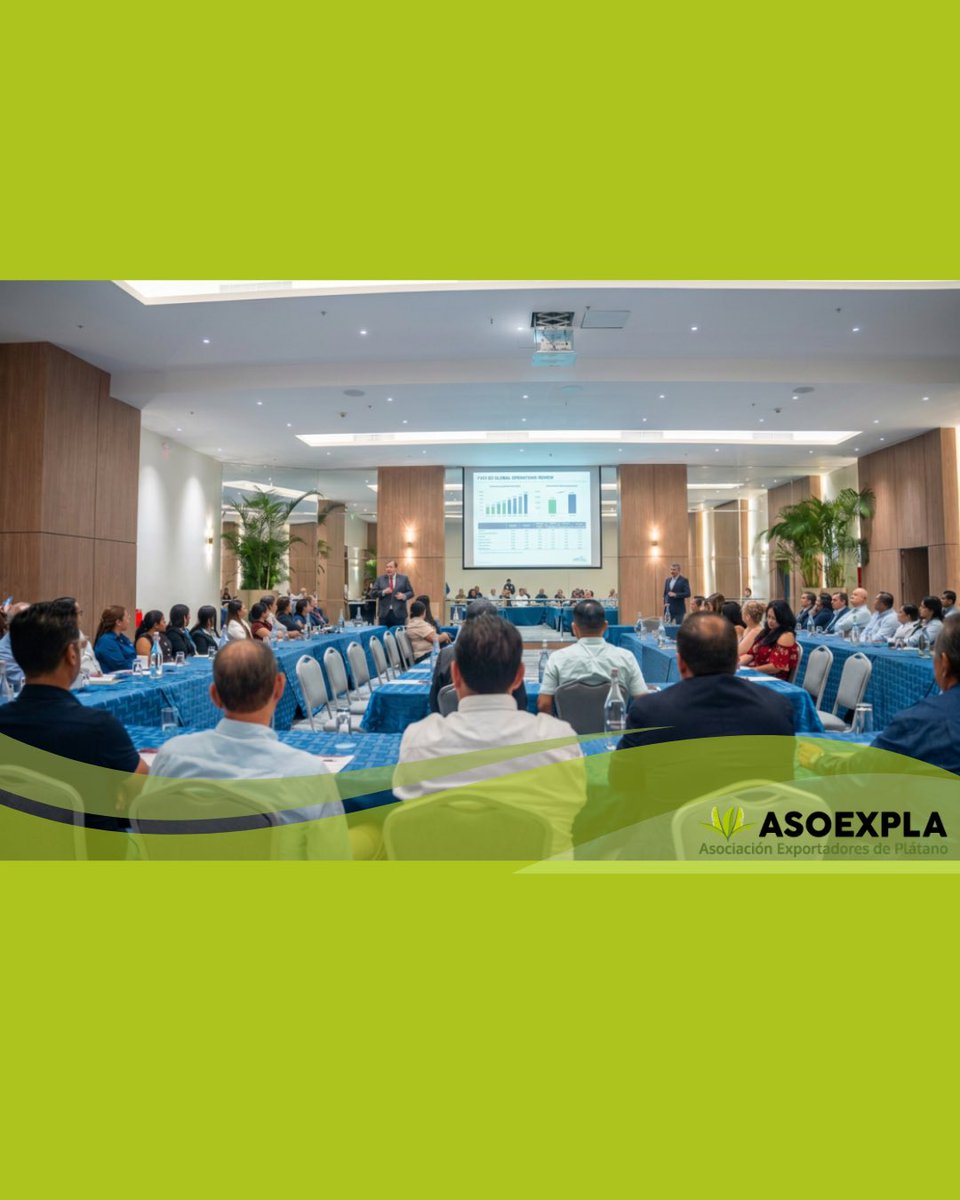 asoexpla's tweet photo. En ASOEXPLA impulsamos la actualización de nuestros asociados. Participamos en el conversatorio “Del IRU Bananero y platanero a Régimen General”, fortaleciendo el conocimiento frente a los desafíos del sector platanero. 🍃 #ASOEXPLA #IRUBananero https://t.co/tsRuBLDr72