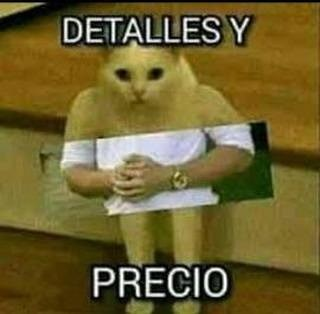 LaSekaiiVT's tweet photo. @kokorumiVT detalles y precio, gracias https://t.co/14HS5zayyT