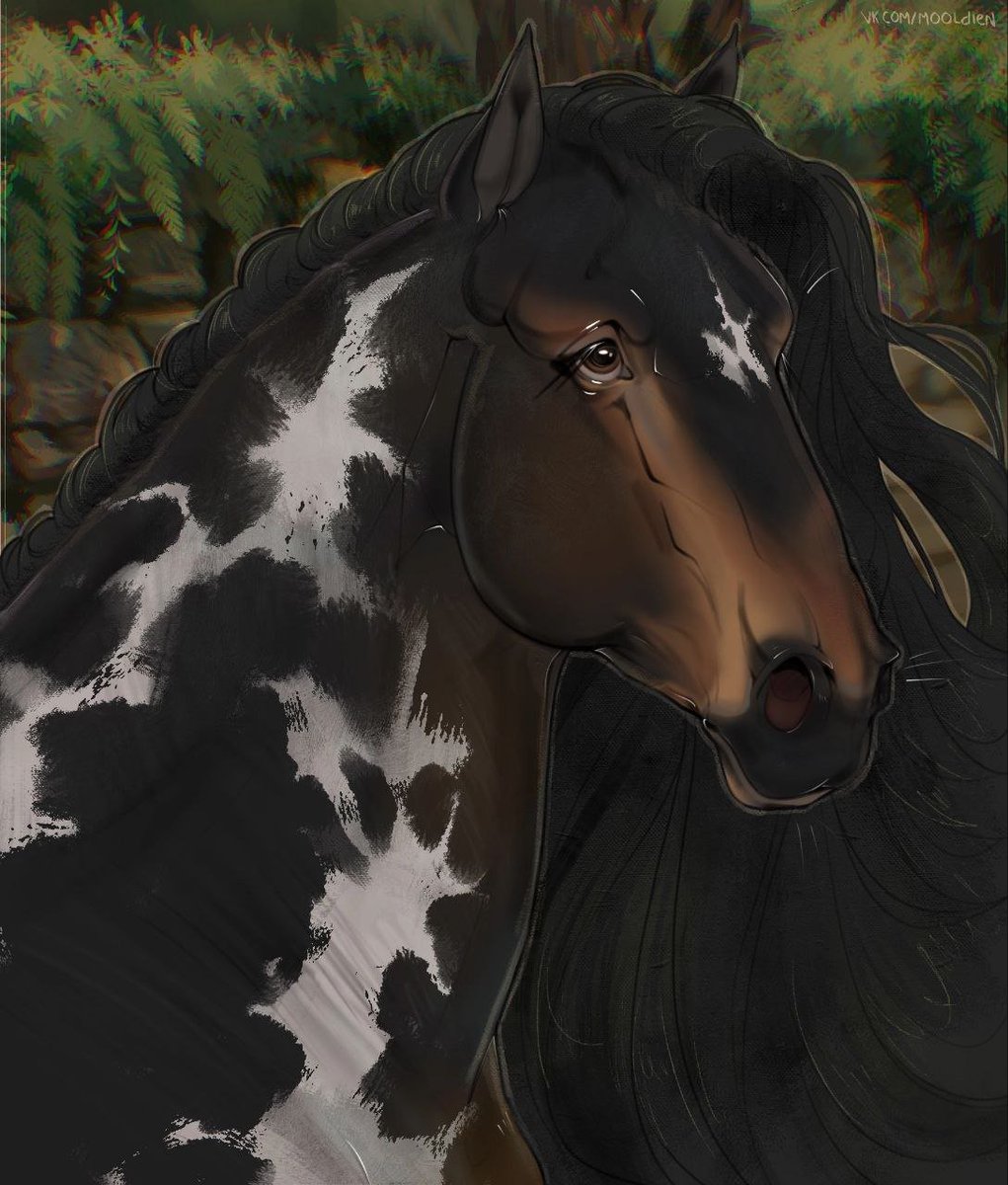 Modya8088's tweet photo. finished comm!
#commission #artmoots #ych #YCHCommission #horse #character #art https://t.co/KNgjJvP41t