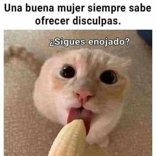 Estrellitaa31's tweet photo. Jajaja https://t.co/PJS88KgMgP
