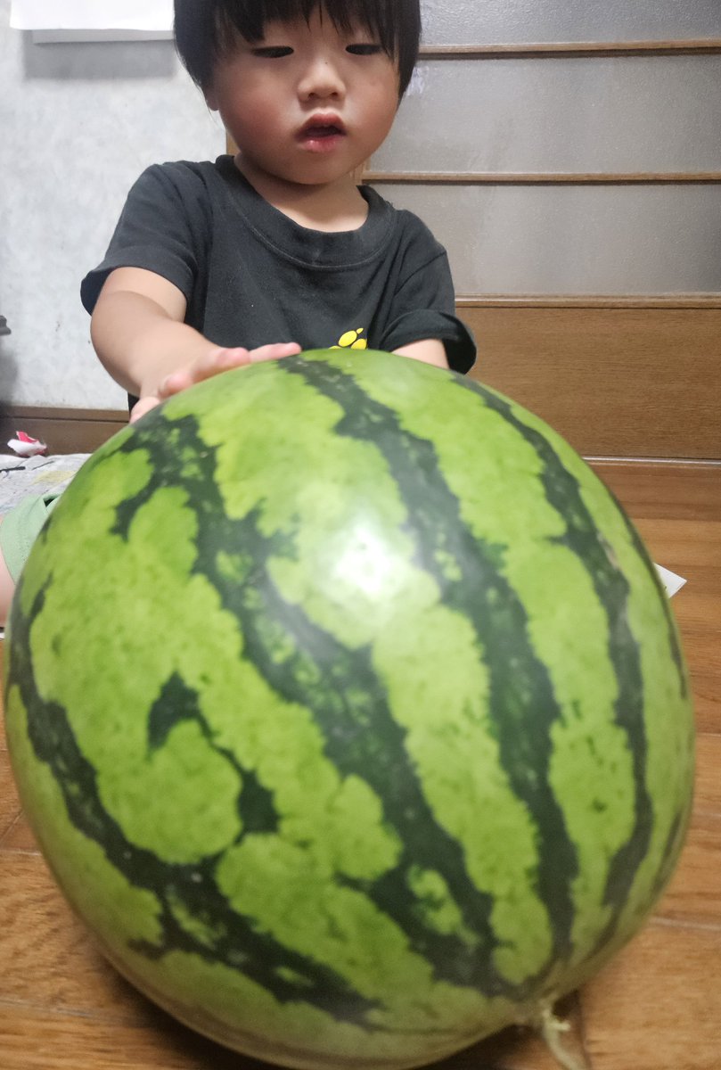 石井良樹⭐️強引グ・マイウェイ🎋 tweet media