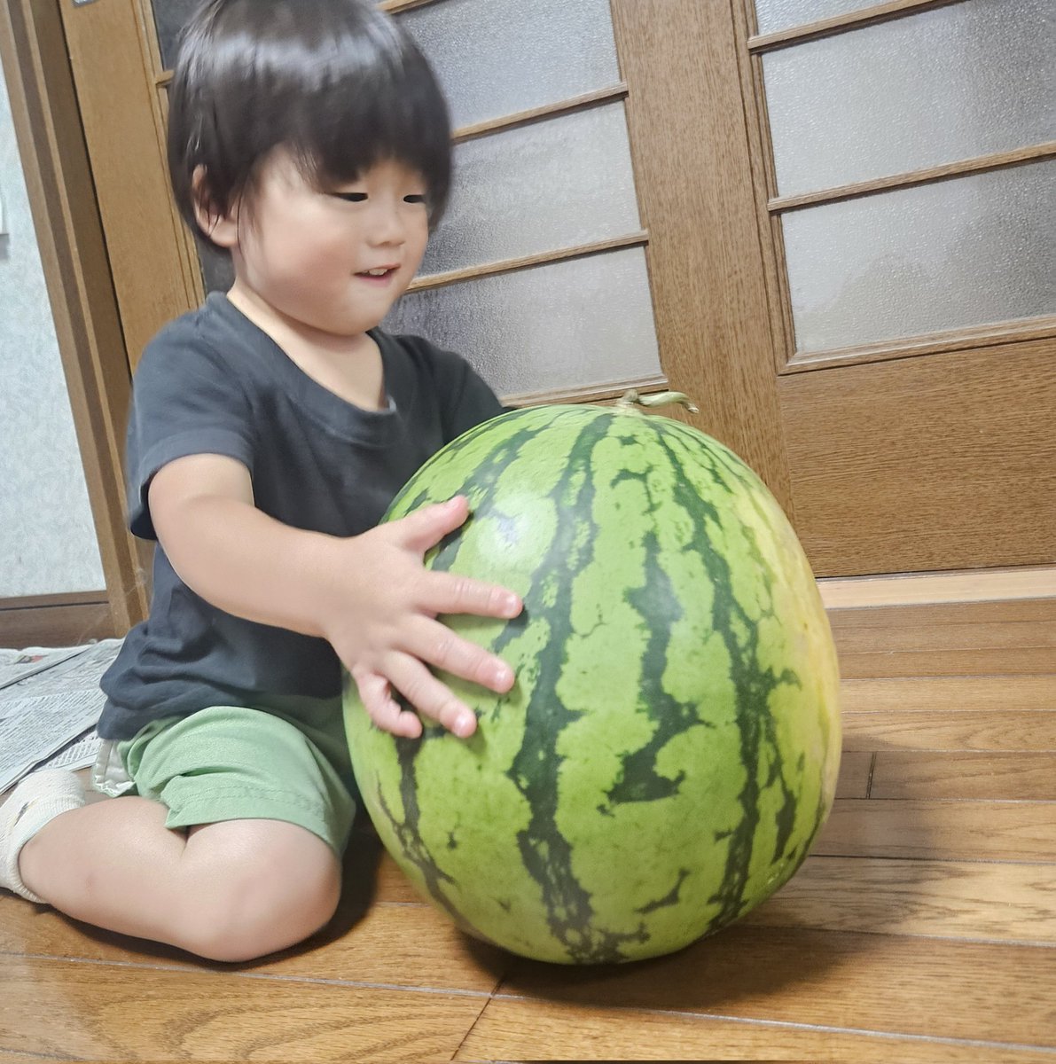 石井良樹⭐️強引グ・マイウェイ🎋 tweet media