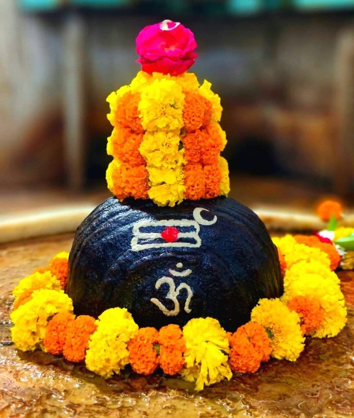 NidhiD_1's tweet photo. ॐ त्र्यम्बकं यजामहे सुगन्धिं पुष्टिवर्धनम्।🌿
उर्वारुकमिव बन्धनान्मृत्योर्मुक्षीय मामृतात्॥ 

ऊं नमः शिवाय 🙏 https://t.co/JBJddgT5As