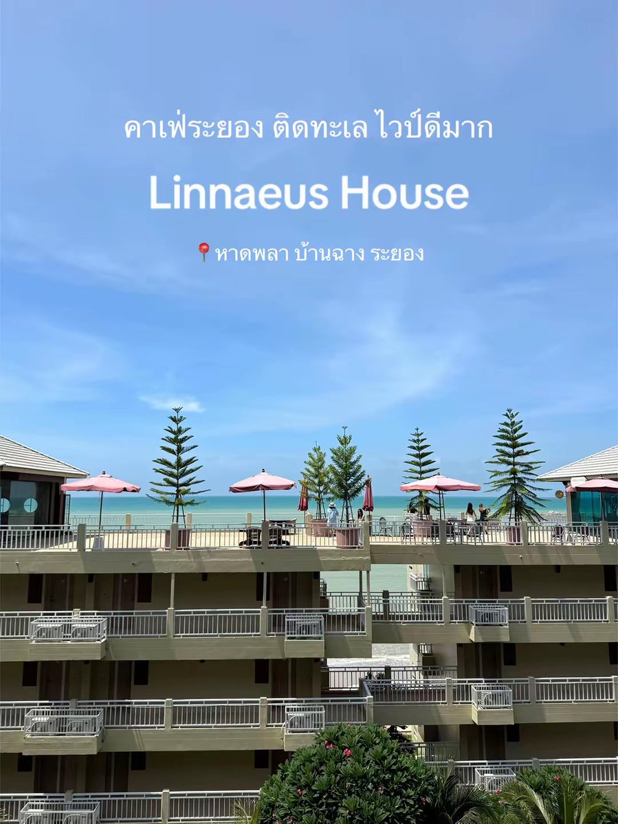 bbblinabb_'s tweet photo. คาเฟ่ระยอง ไวป์ดี ถ่ายรูปสวยปัง✨

📍Linnaeus House ลินเนียส เฮาส์🌊

คาเฟ่ที่เห็นวิวทะเลแบบเต็มตา บรรยากาศดีมาก มีทั้งโซน indoor และ outdoor ฟังเสียงคลื่นชิวๆ มุมถ่ายรูปน่ารักๆเต็มไปหมด ได้คอนเท้นแน่นอนค่า🥰 เราไปประมาณเที่ยงๆแดดแรง ถ้าไปช่วงเย็นจะสวยกว่านี้อีกค่า☀️🩷

มีที่จอดรถ🚙