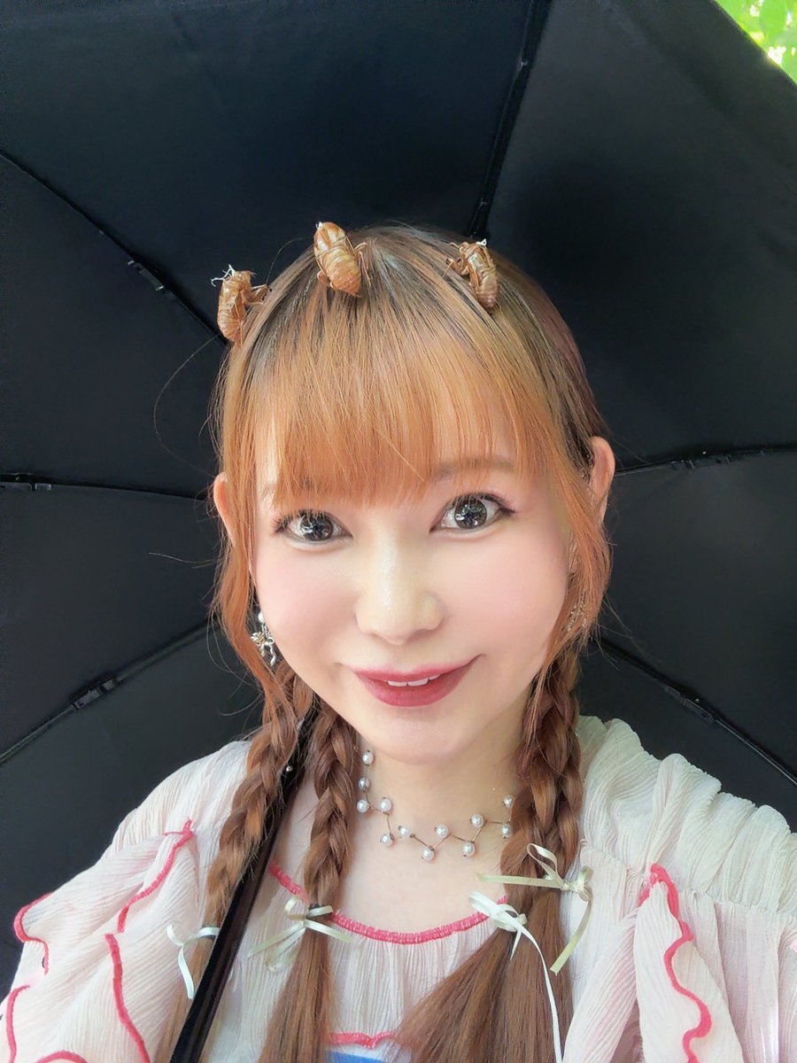 shoko55mmts's tweet photo. https://t.co/qPx0PeH574