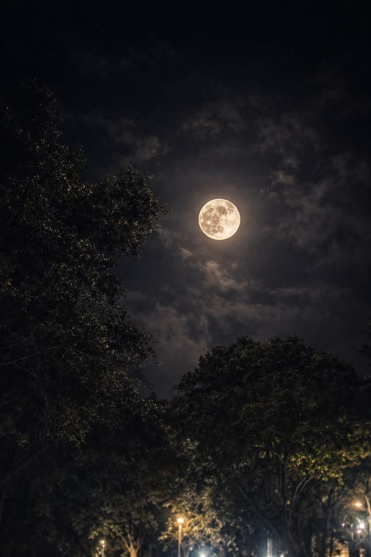 EN7starr's tweet photo. En-timeeee✨✨✨✨✨

Q prefierennn??? 😺

Sol🌞                     O               Luna🌙

#BeliftTakeAccountability
#No_Revenue_For_HYBE https://t.co/cCtsUv7RKB