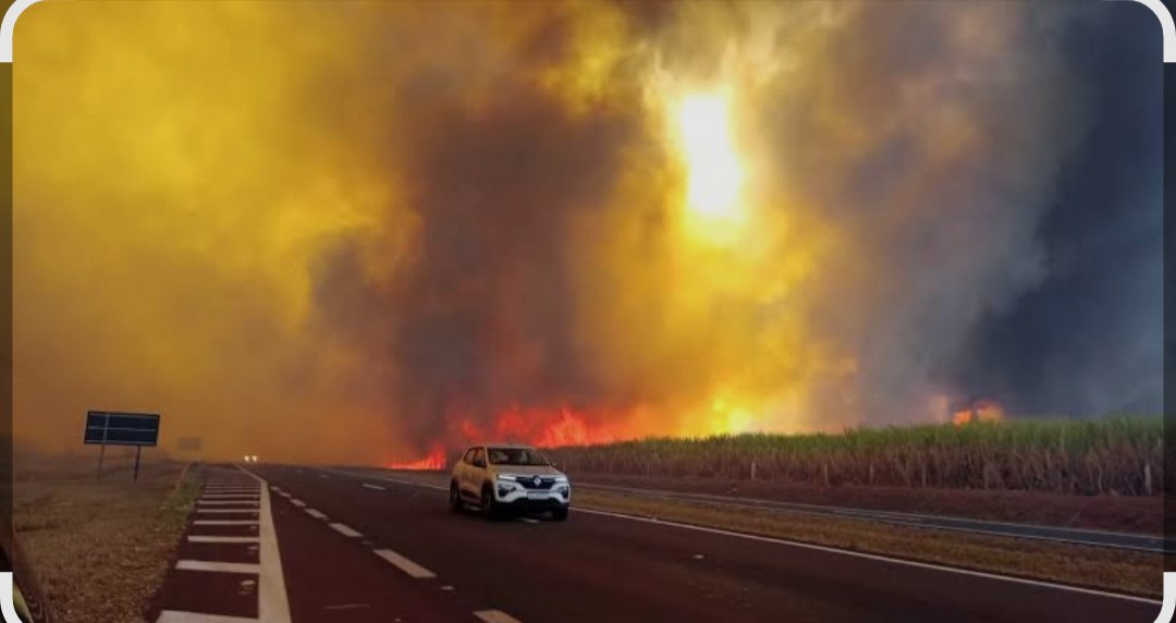 MonicaSeixas's tweet photo. O noticiário do dia escancara a crise climática. Incêndios gigantescos na Europa, alagamentos no sul do país, furação e terremoto pelo mundo. 

E o super EL nino ainda está por chegar. 

Cobro agora e publicamente ao governo estadual um plano para conter as queimadas. Em agosto começa a despalha de cana com fogo, em agosto começam as ondas de calor extremo em SP. É preciso proibir, aumentar o policiamento ambiental, fazer campanha de comunicação orientando o pequeno agricultor e a população a não usarem fogo.

É preciso abrir hospital, leito e insumos para atender a alta demanda causa por problemas respiratórios.

É preciso planejar.

De nada adianta vestir o colete da defesa civil depois de ignorar a ciência.
