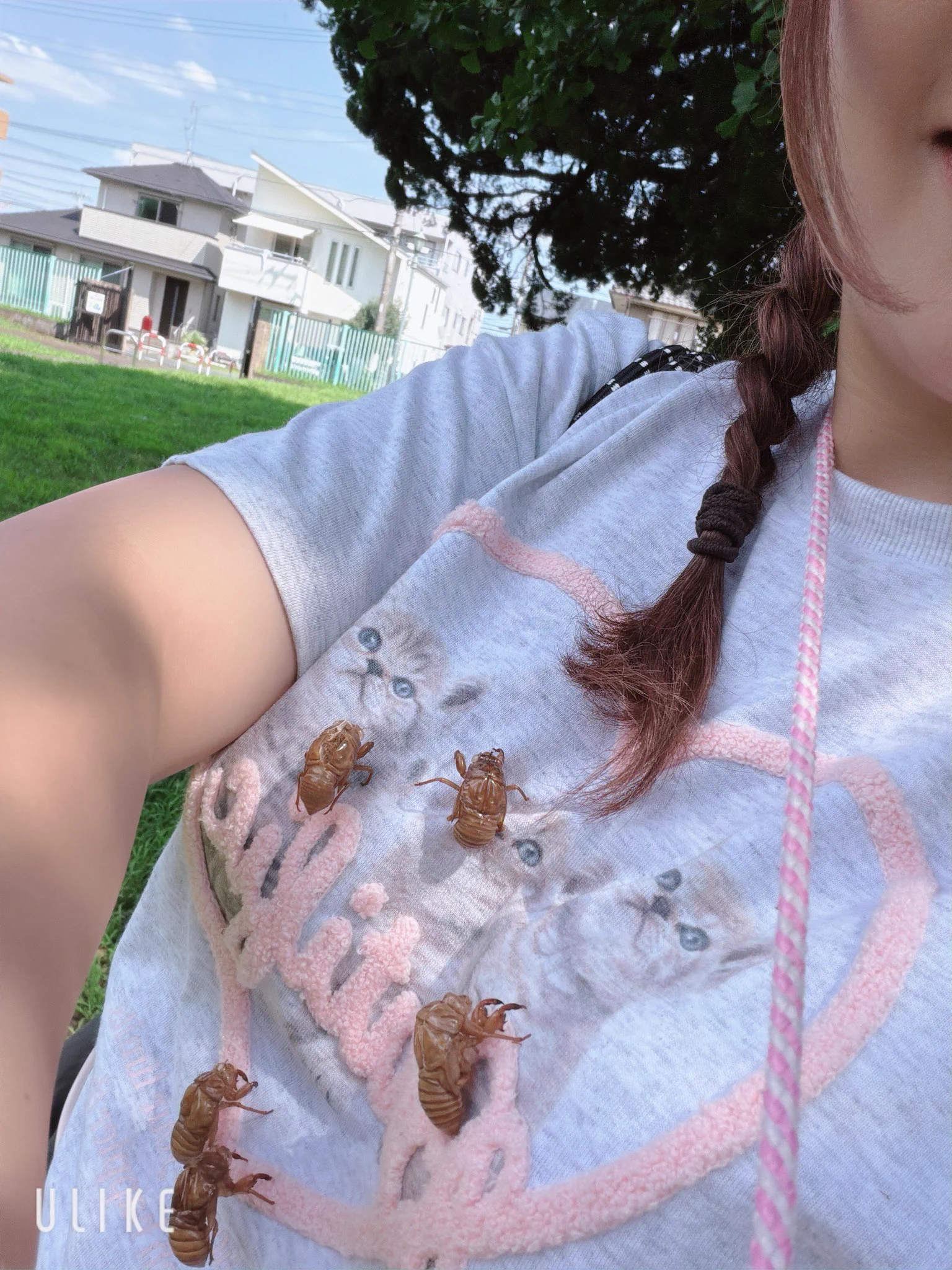 🍉中川翔子🍉🐈‍⬛ on X / X