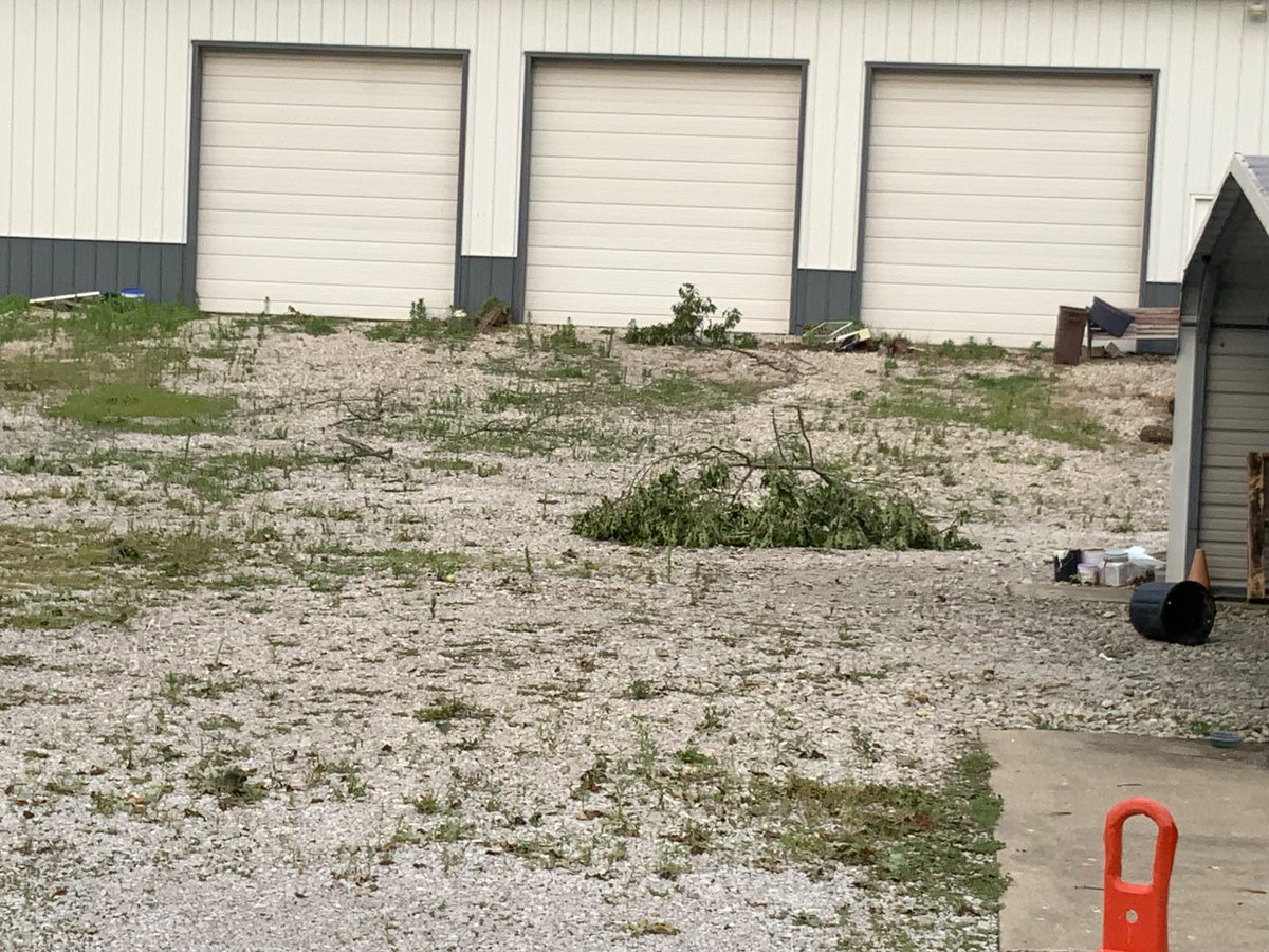 IRinartz's tweet photo. Lots of tree damage in south martinsville Illinois from yesterday evening’s storms. This is 1 mile south of the martinsville Illinois fairgrounds. The time these pictures were taken was at 6:34 pm central time today  #ilwx @NWSLincolnIL https://t.co/QUwiSKWASb
