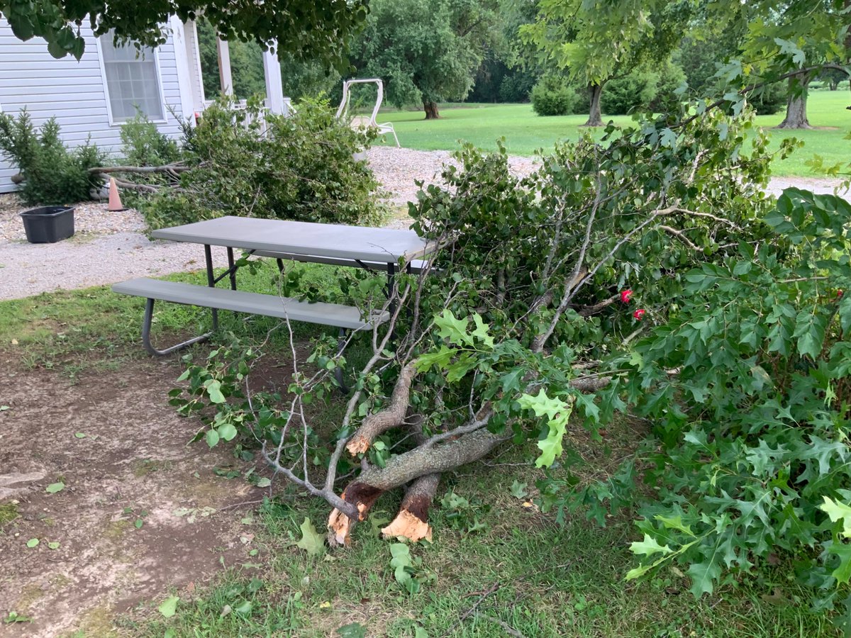 IRinartz's tweet photo. Lots of tree damage in south martinsville Illinois from yesterday evening’s storms. This is 1 mile south of the martinsville Illinois fairgrounds. The time these pictures were taken was at 6:34 pm central time today  #ilwx @NWSLincolnIL https://t.co/QUwiSKWASb